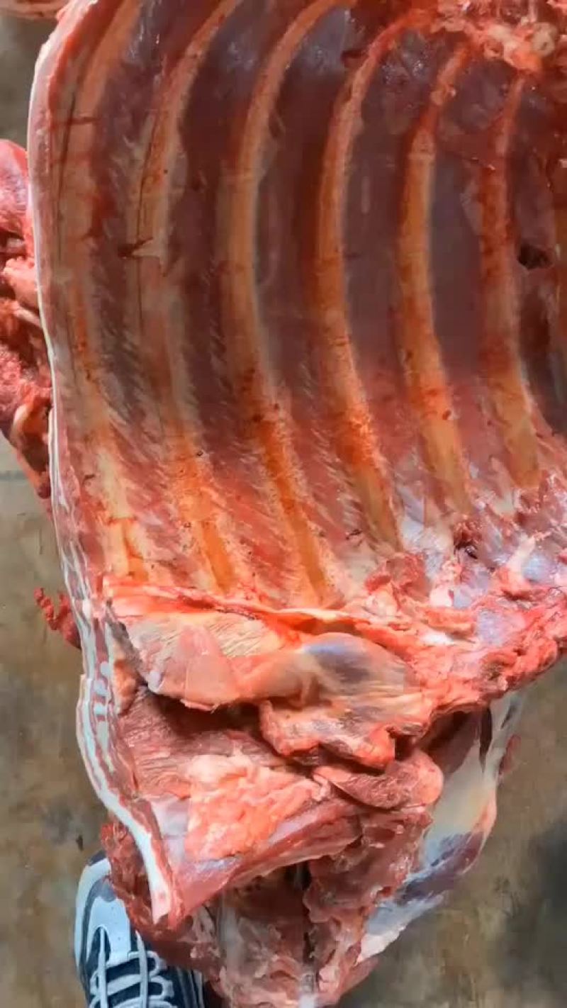 新鲜驴排