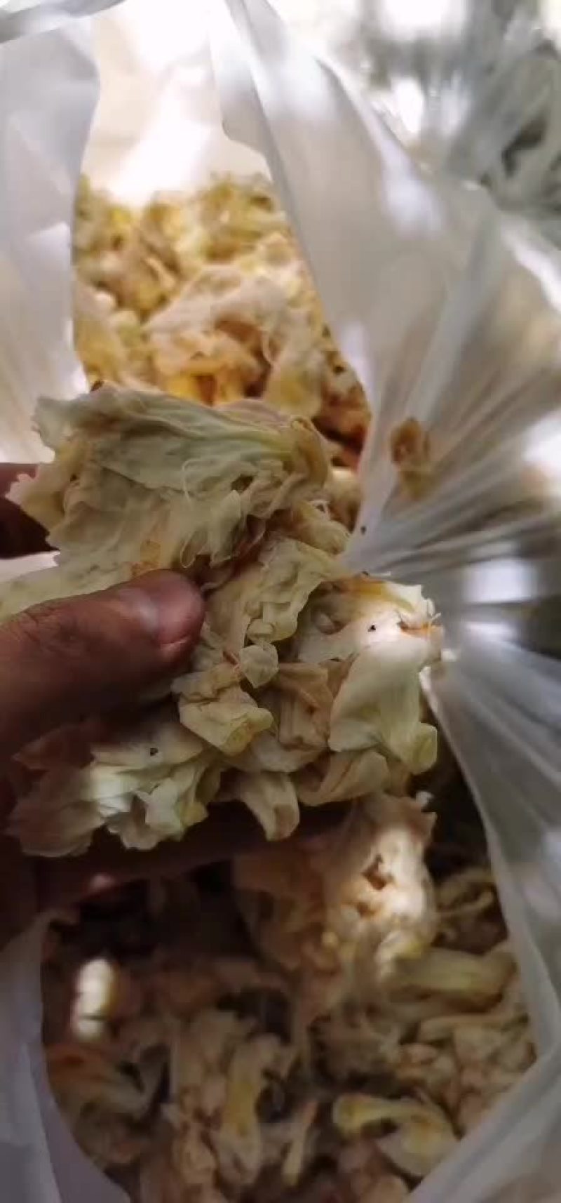 野菜