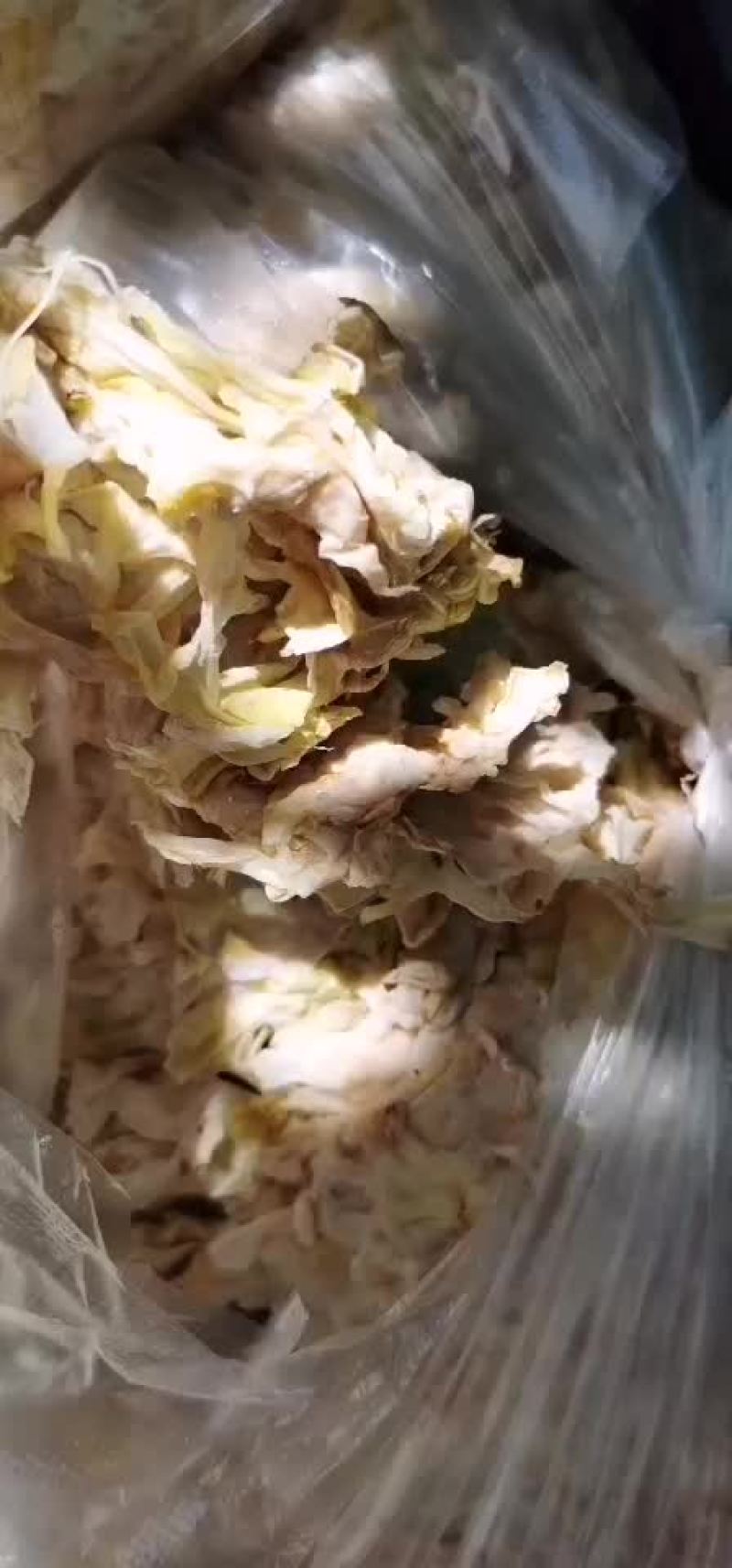 野菜