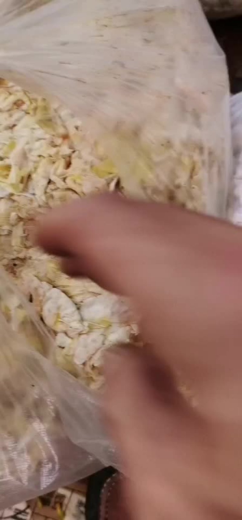 野菜