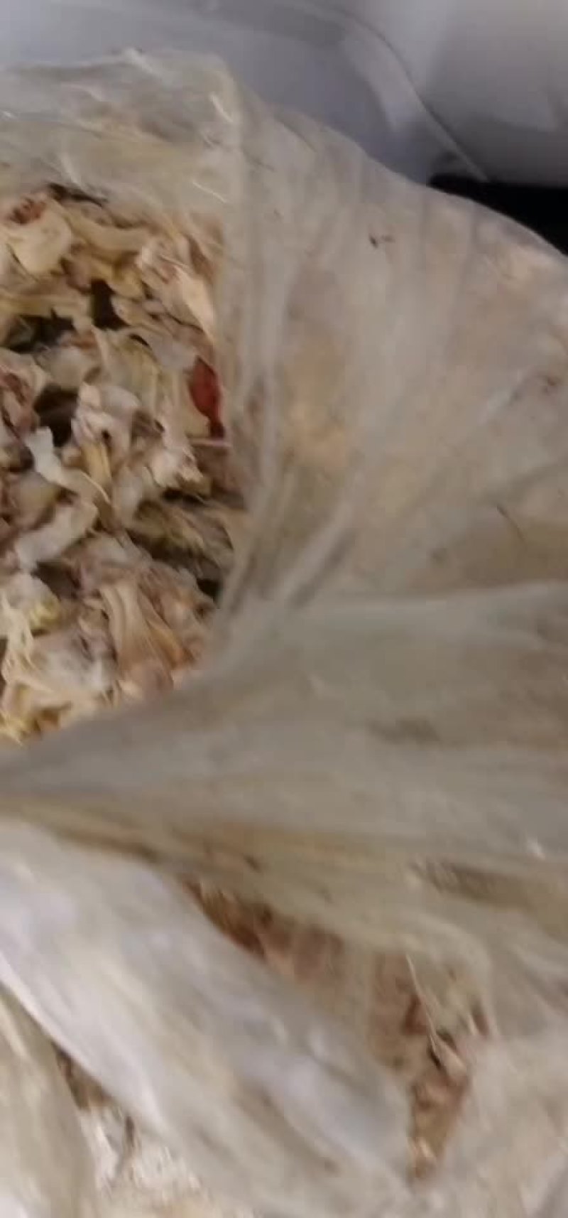 野菜