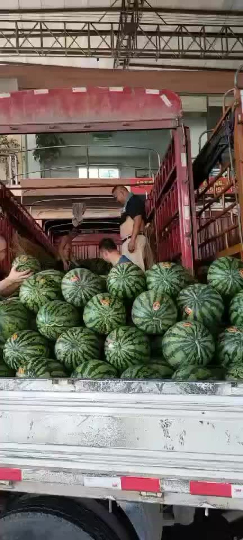 西瓜，美都，麒麟瓜，黑美人，甜王，硒砂瓜，花瓜，绿爽