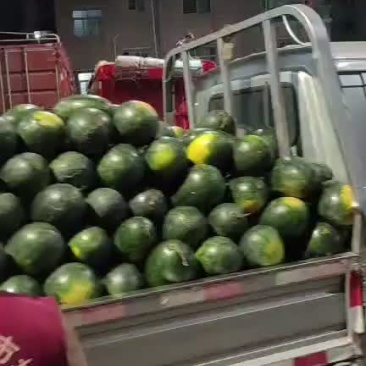 西瓜，美都，麒麟瓜，黑美人，甜王，硒砂瓜，花瓜，绿爽