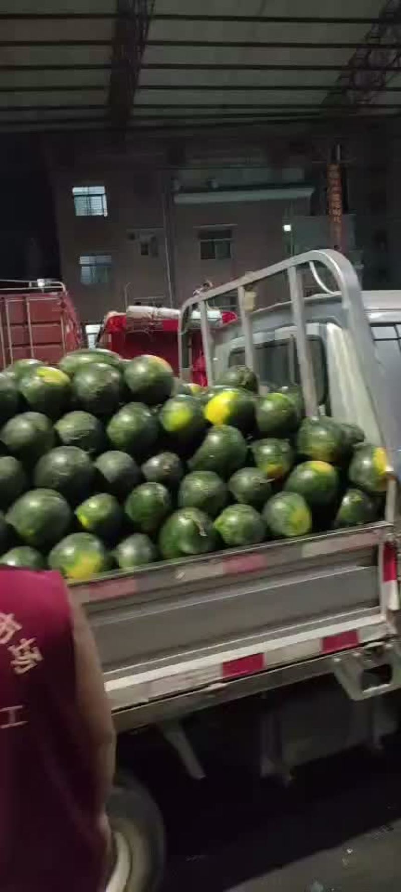西瓜，美都，麒麟瓜，黑美人，甜王，硒砂瓜，花瓜，绿爽