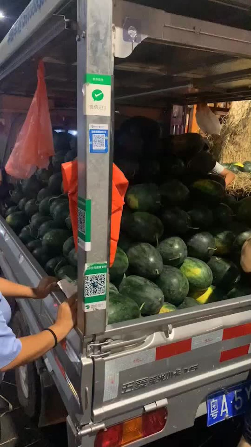 西瓜，美都，麒麟瓜，黑美人，甜王，硒砂瓜，花瓜，绿爽