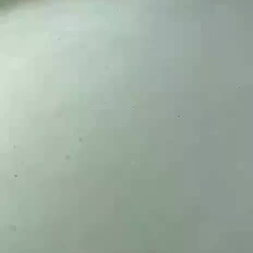 泰山女儿茶