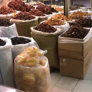 批发各种蘑菇木耳干货，产地直销，一手货源