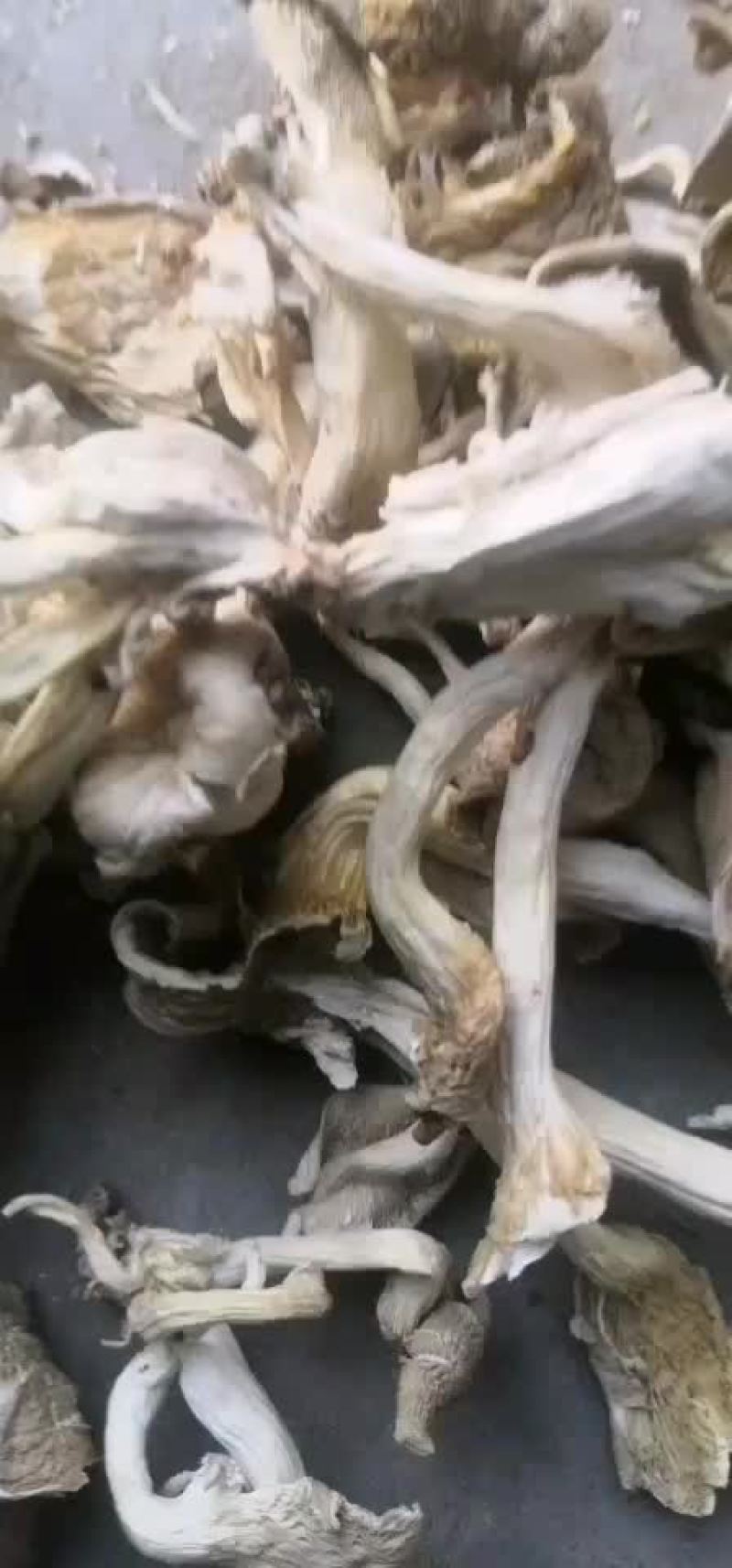 野山味干品秀珍菇