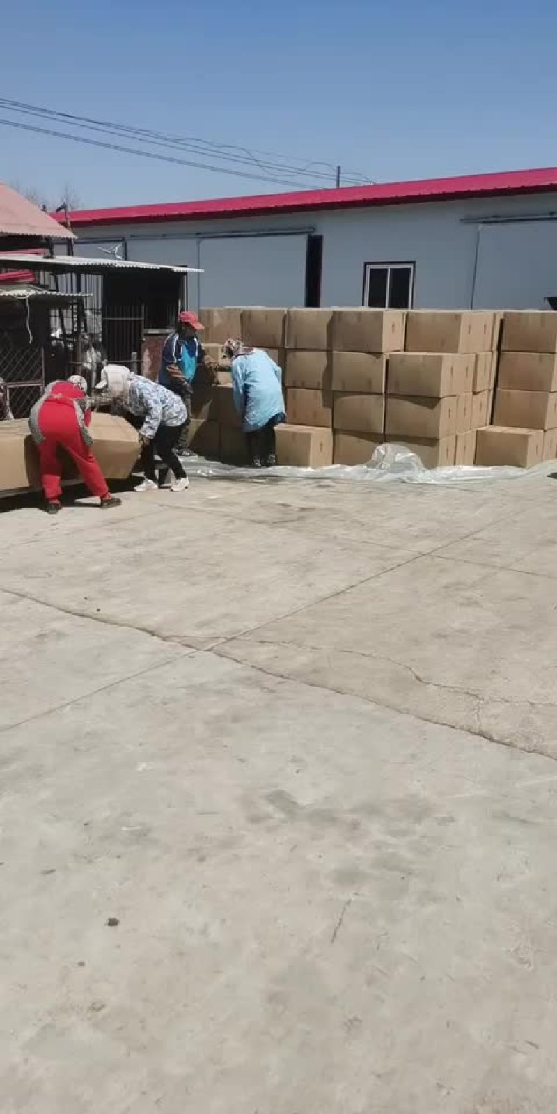批发各种野生蘑菇木耳，产地直销，保证质量