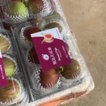 无花果