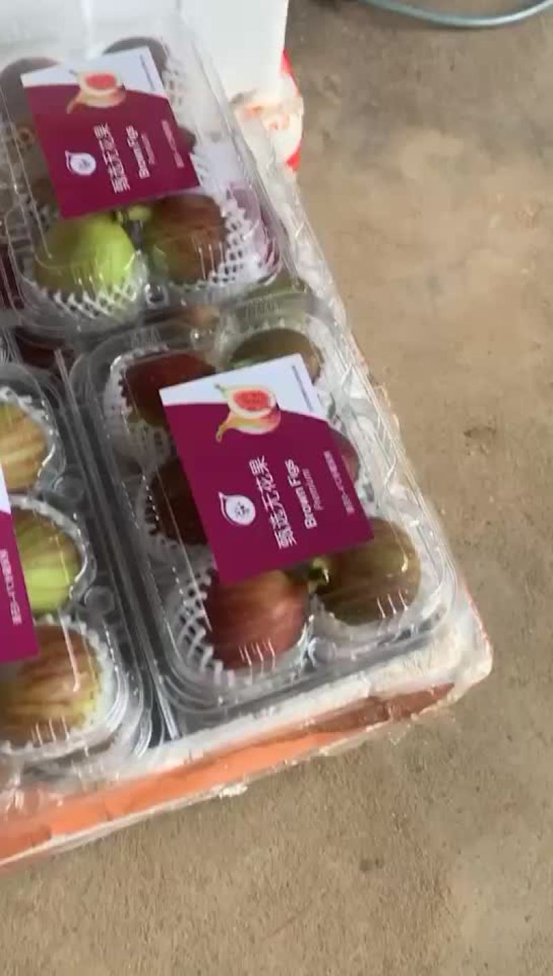 无花果