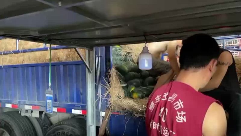 西瓜，桃子，荔枝，李子，葡萄，冬枣，蜜桔