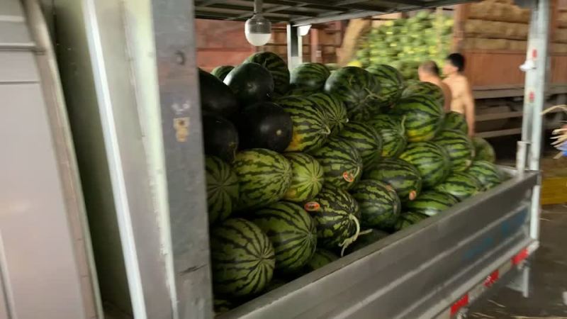 西瓜，桃子，荔枝，李子，葡萄，冬枣，蜜桔
