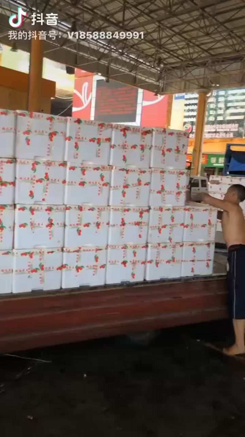 西瓜，桃子，荔枝，李子，葡萄，冬枣，蜜桔