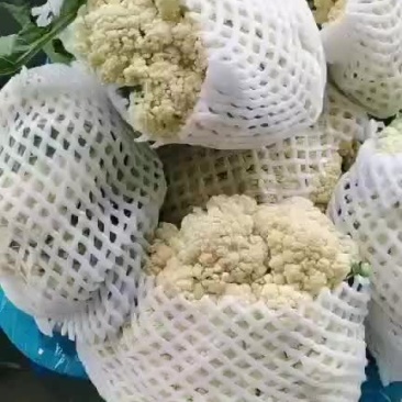 有机花