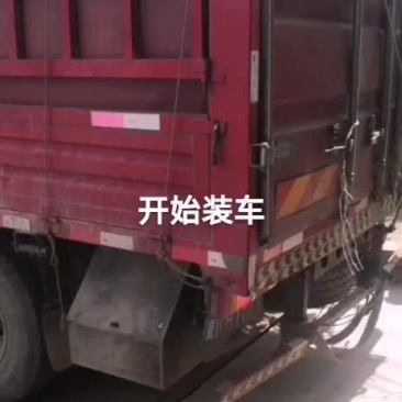 曼二西瓜