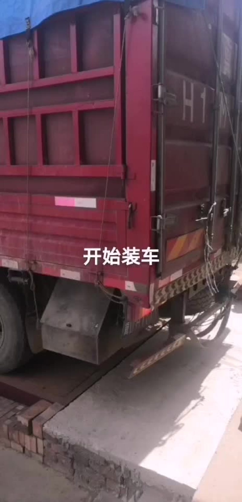 曼二西瓜