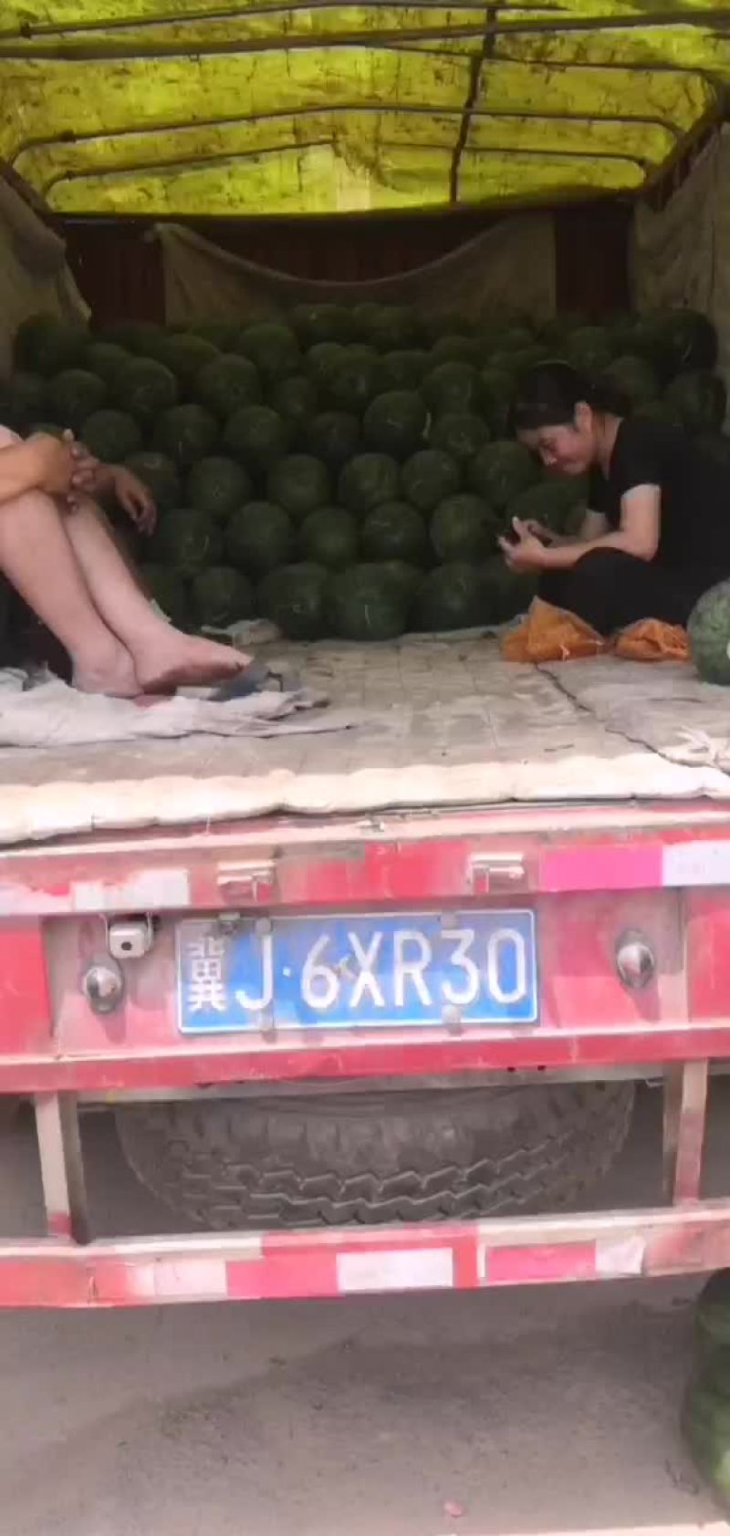 曼二西瓜