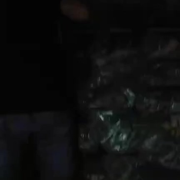 原产地批发粽子叶芦苇叶，质量靠谱