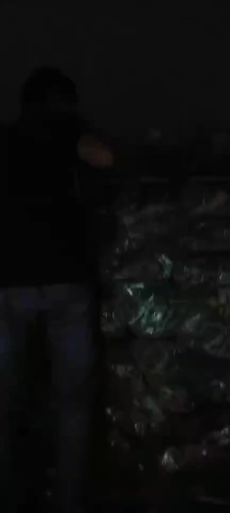 原产地批发粽子叶芦苇叶，质量靠谱