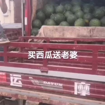 沙甜西瓜