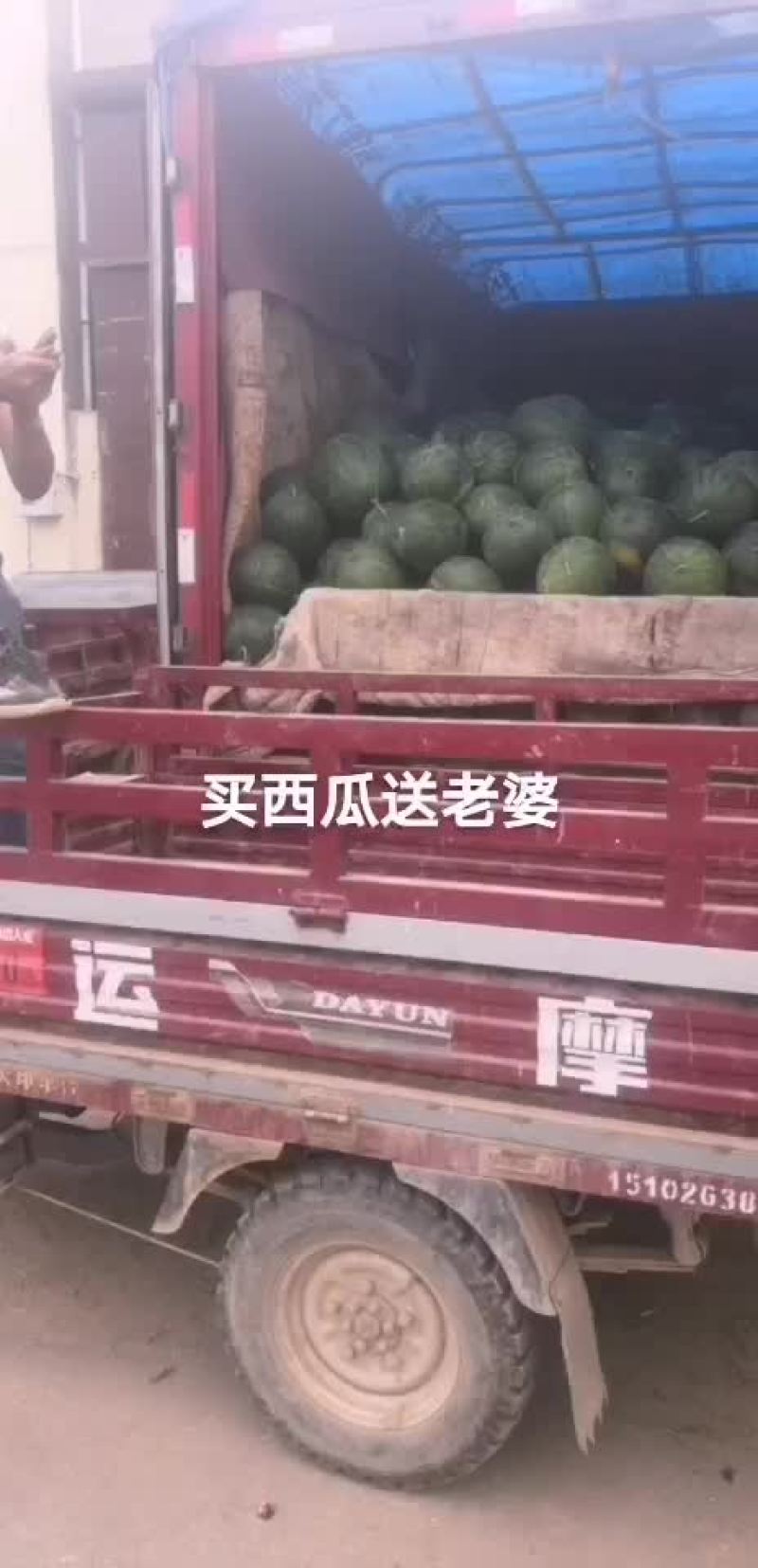 沙甜西瓜