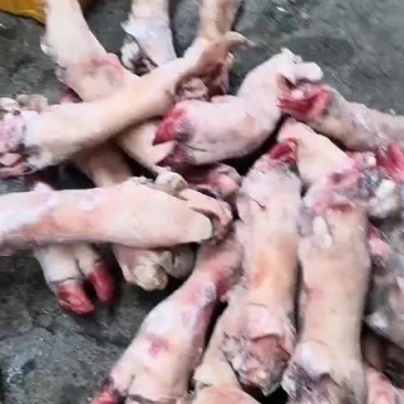 牛脚