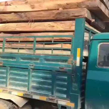 非洲金丝水南