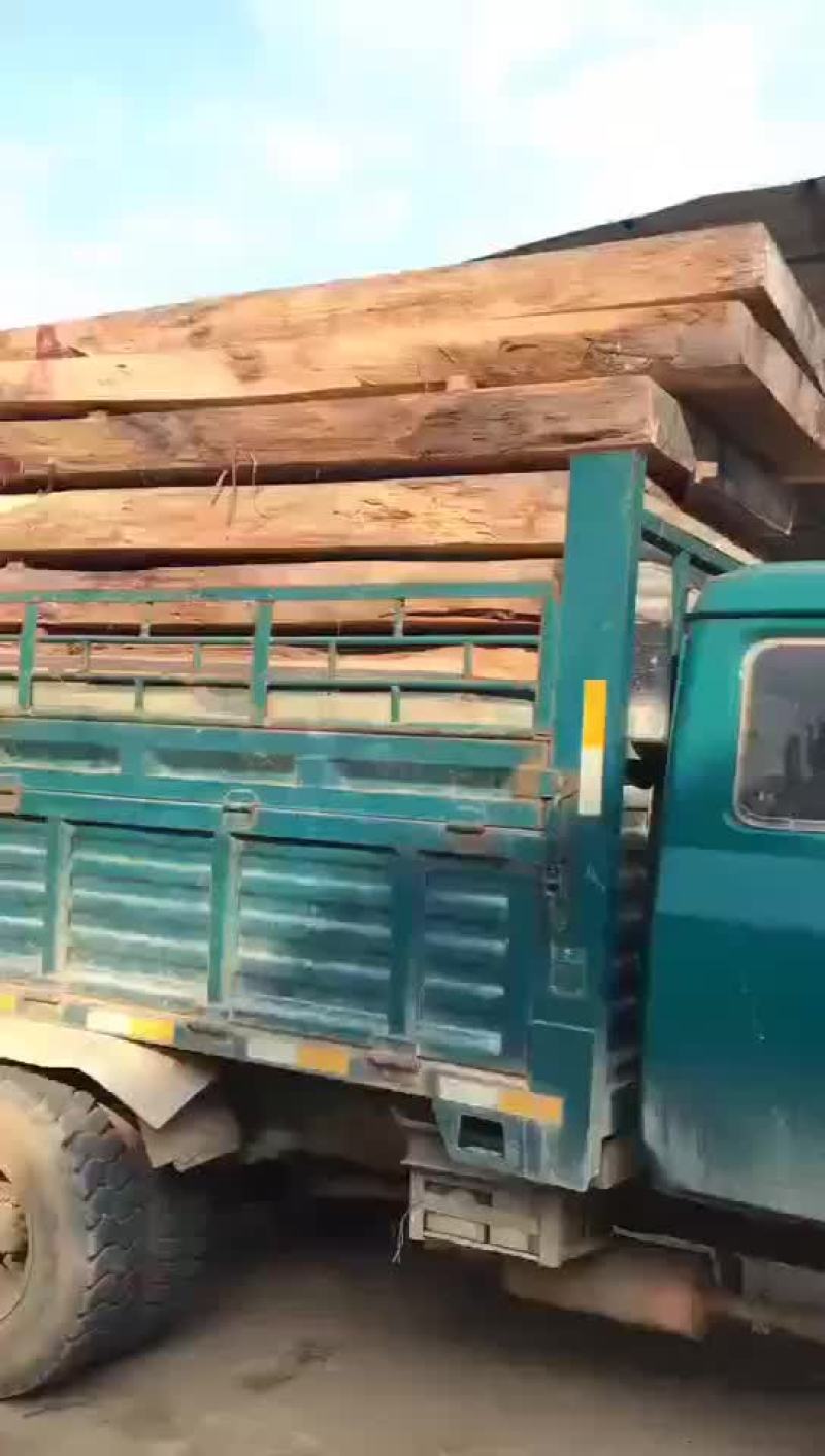 非洲金丝水南