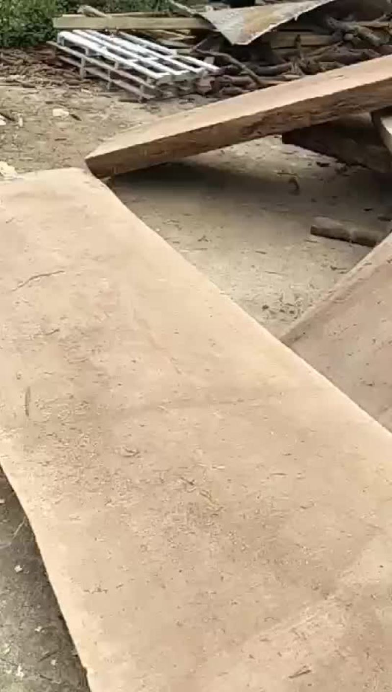 非洲金丝水南