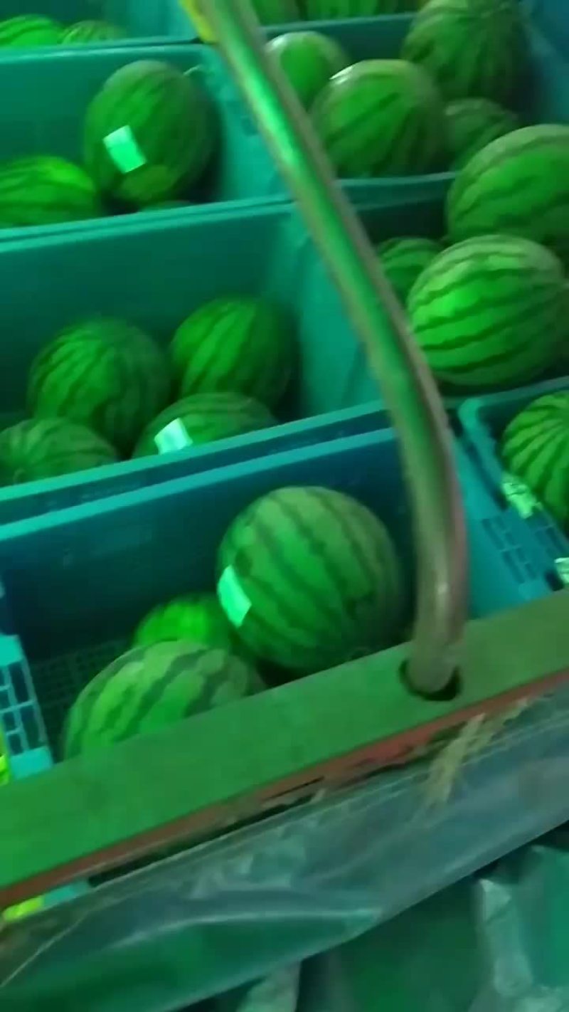 代购代销全国各地西瓜