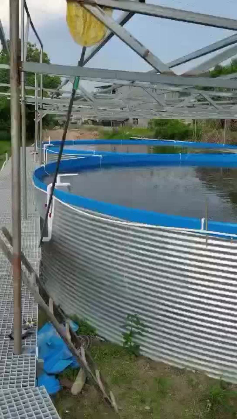 高密度养殖水箱