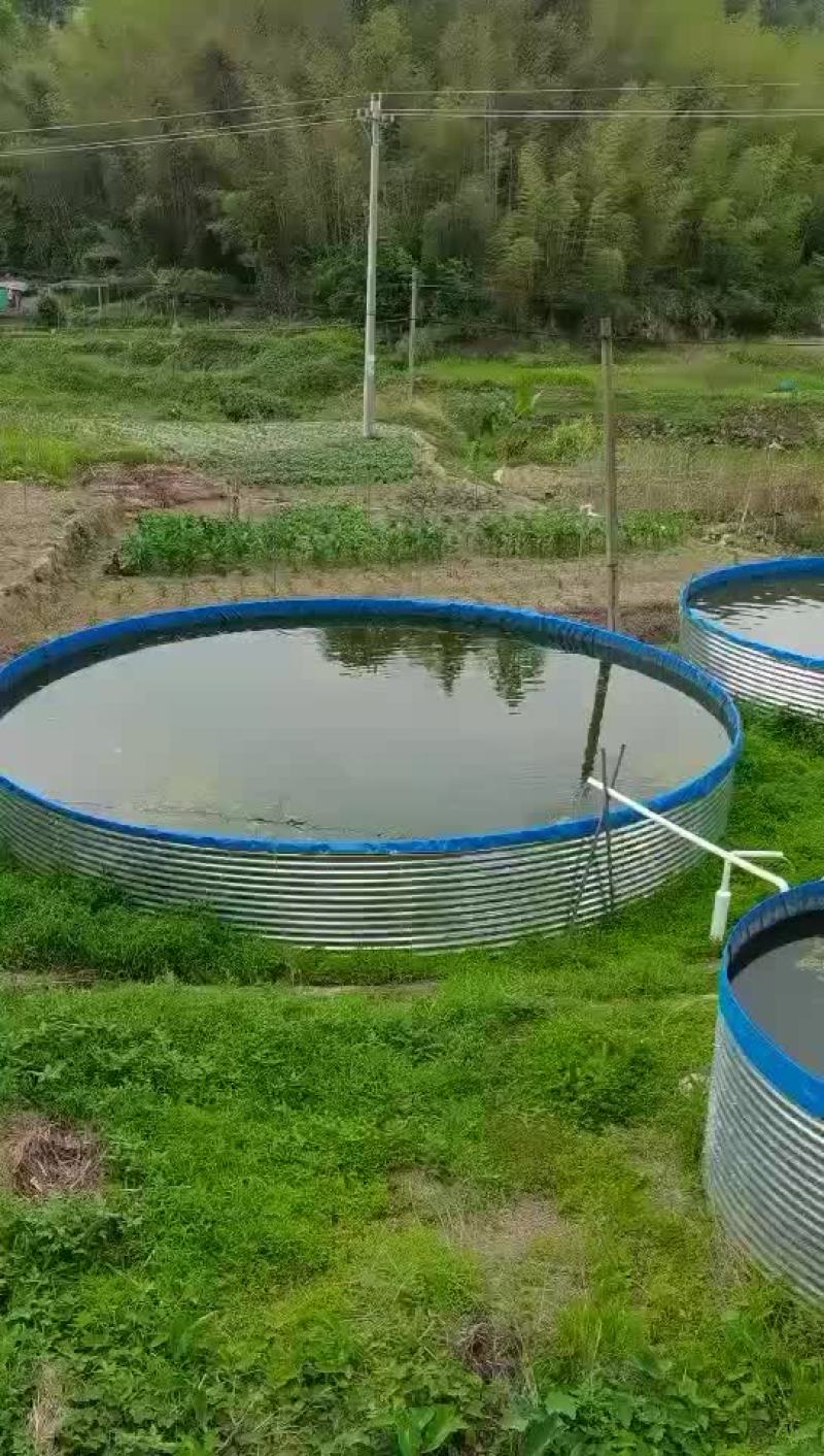 高密度养殖水箱