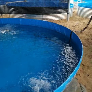 高密度养殖水箱