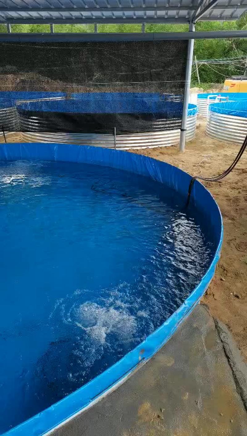 高密度养殖水箱
