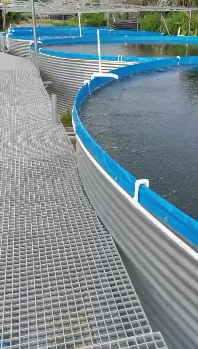 高密度养殖水箱