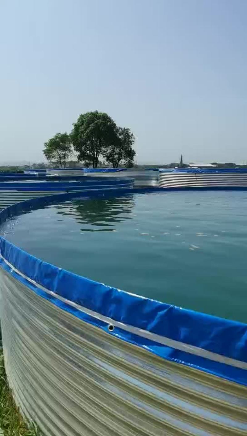 高密度养殖水箱