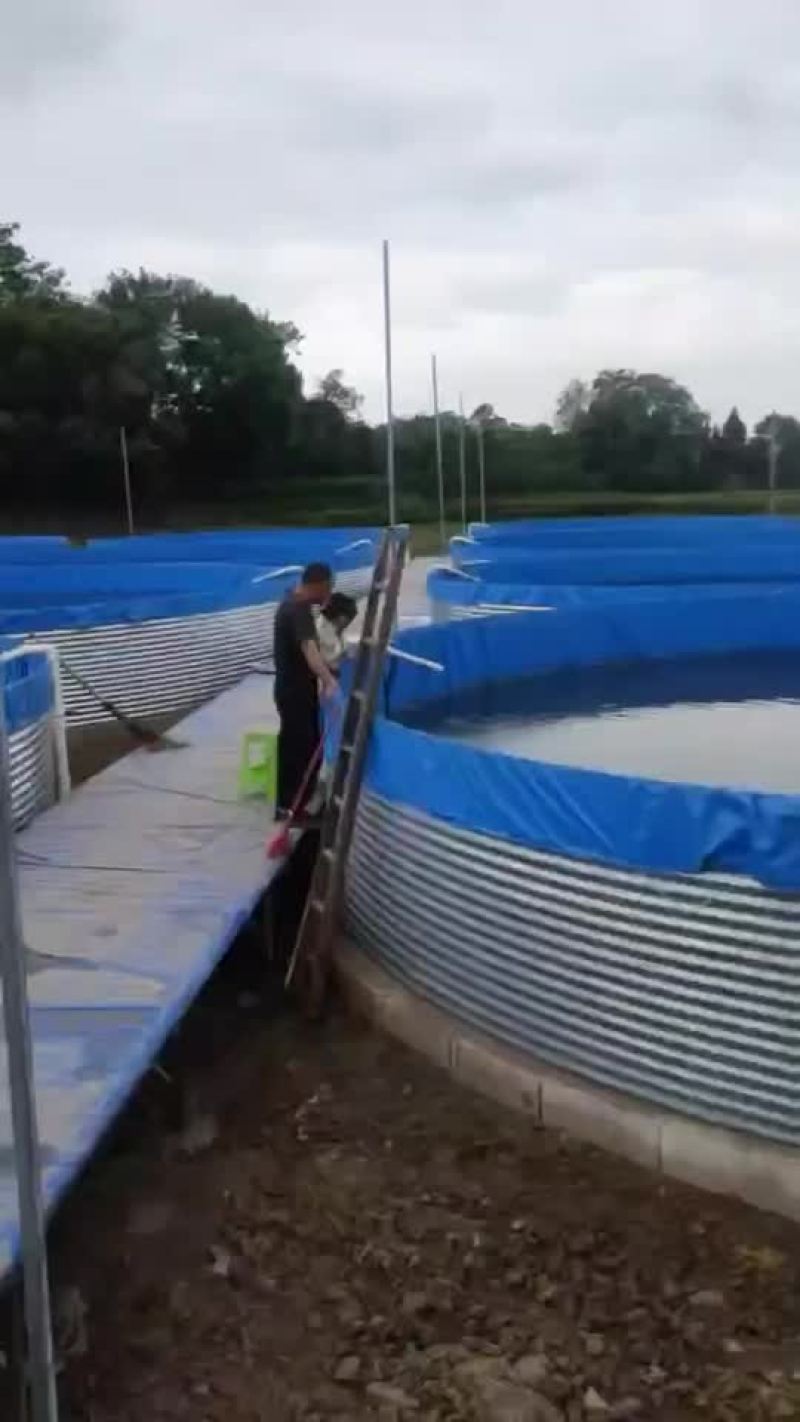 高密度养殖水箱