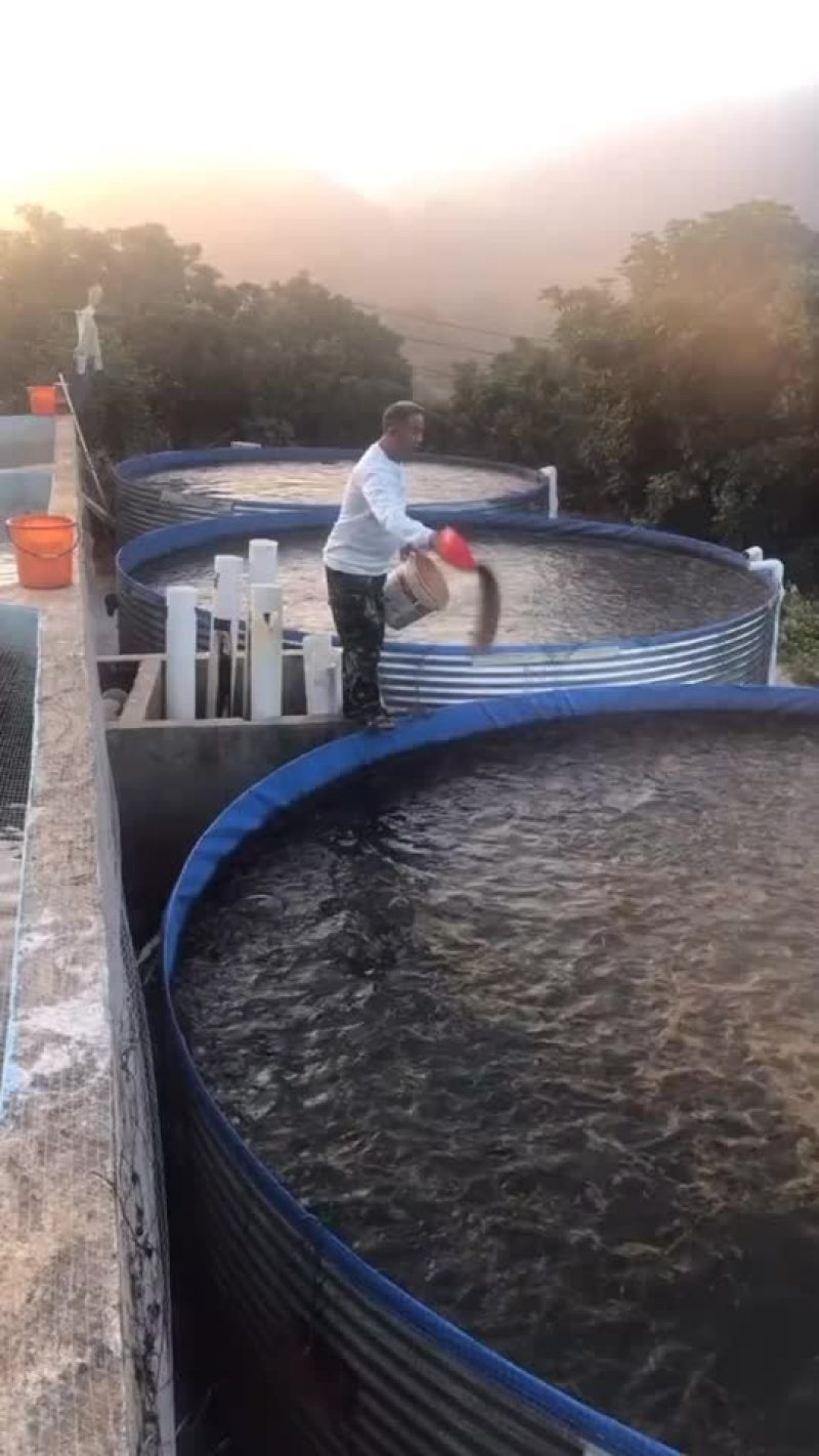高密度养殖水箱