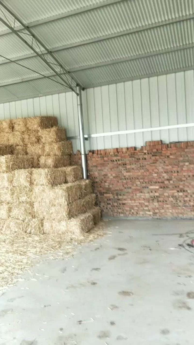 牛羊养殖场出租