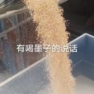 干玉米