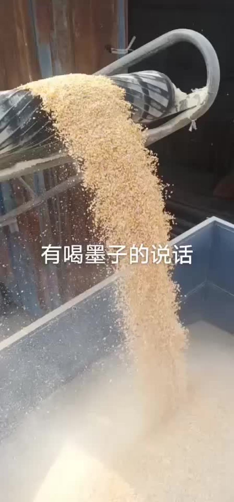 干玉米