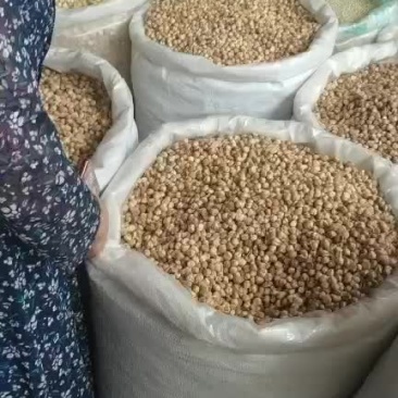 白豆蔻(包邮)，3斤起批发，零售量大从优