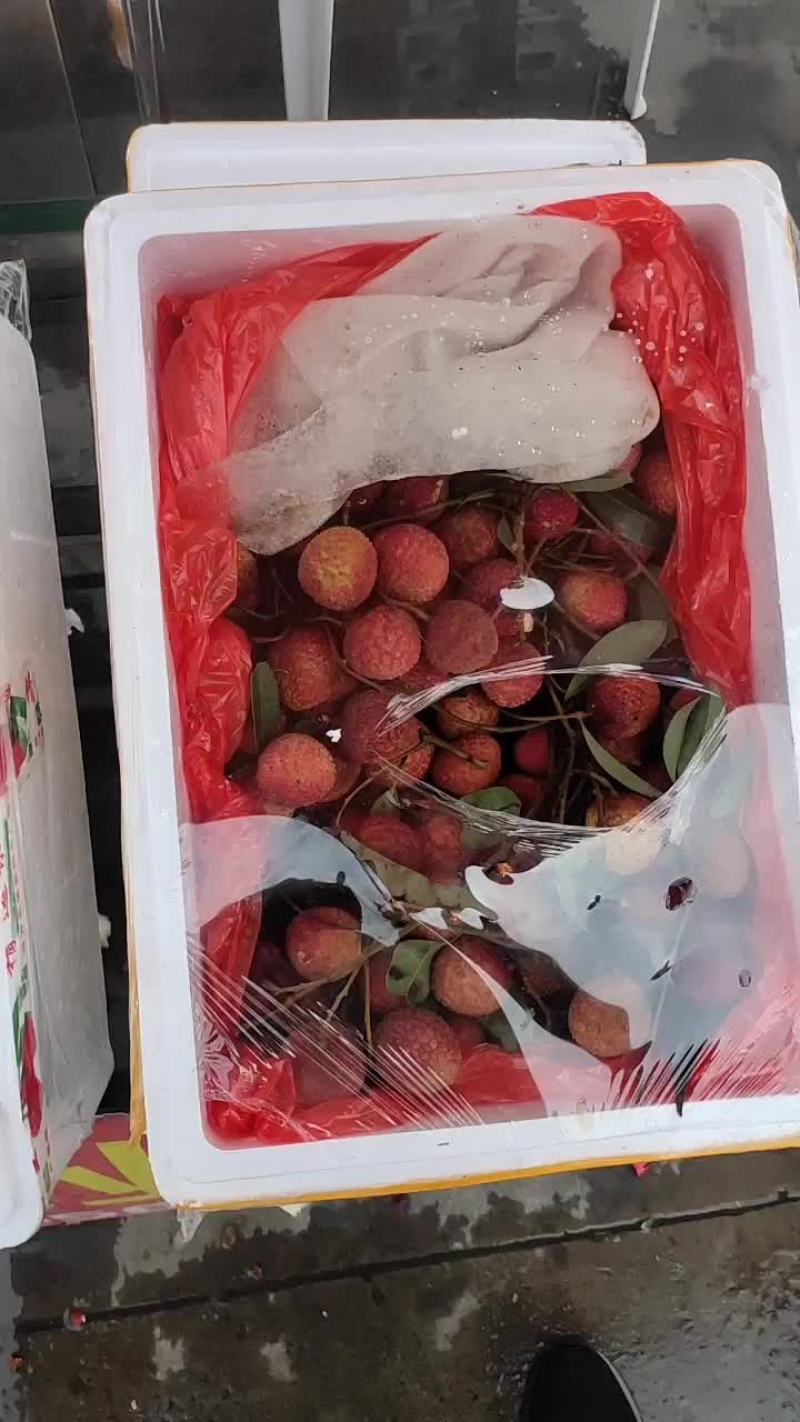 荔枝