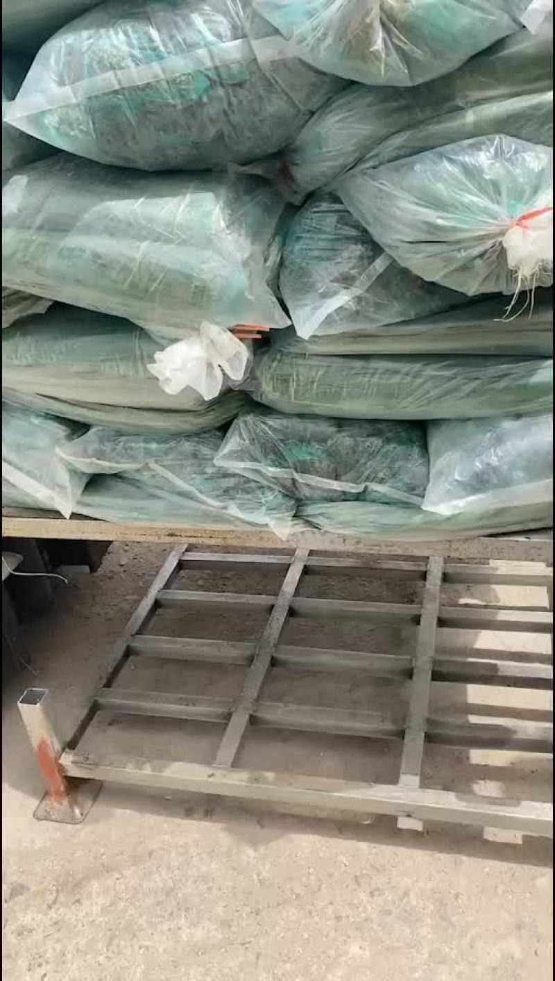 新鲜苇叶，端午前叶子最后一批。原产地供应，
