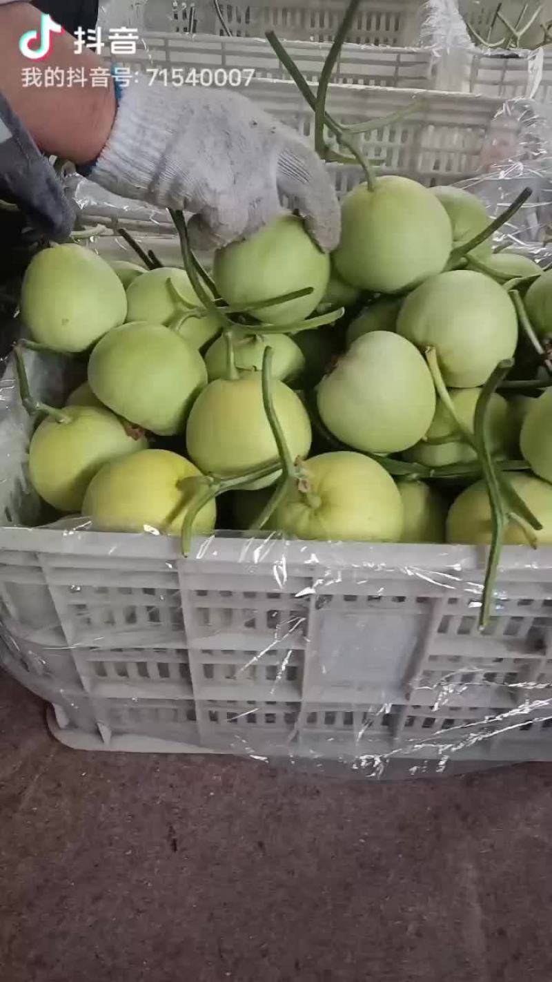 甜瓜