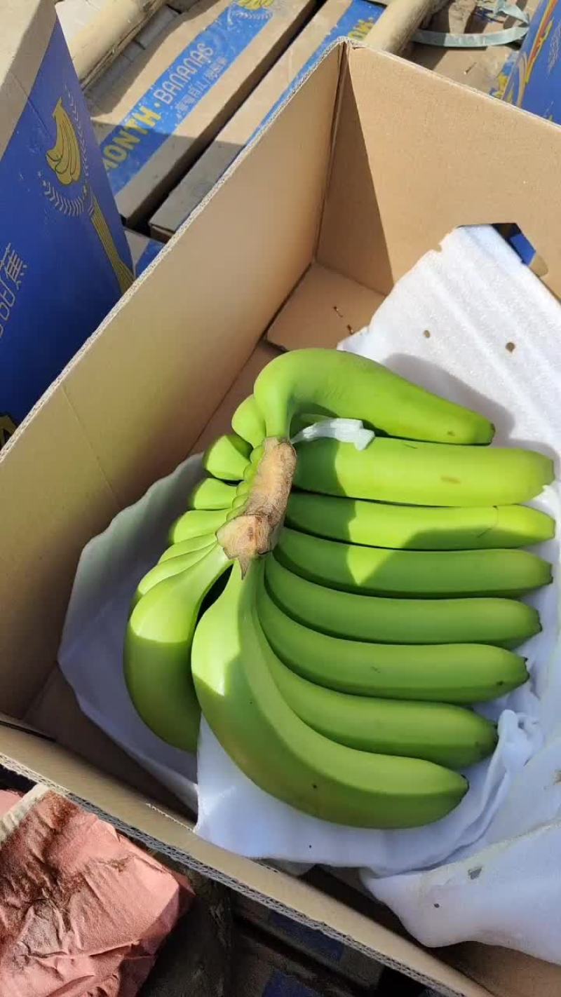 缅甸香蕉！: