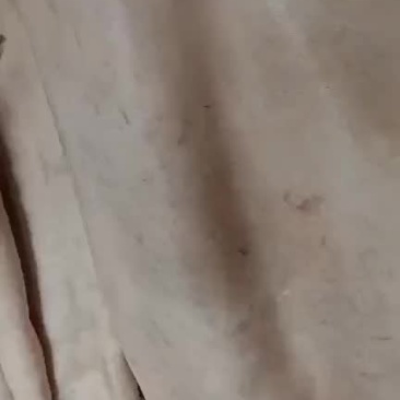 驴皮