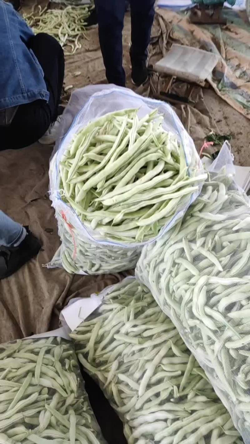 白豆角