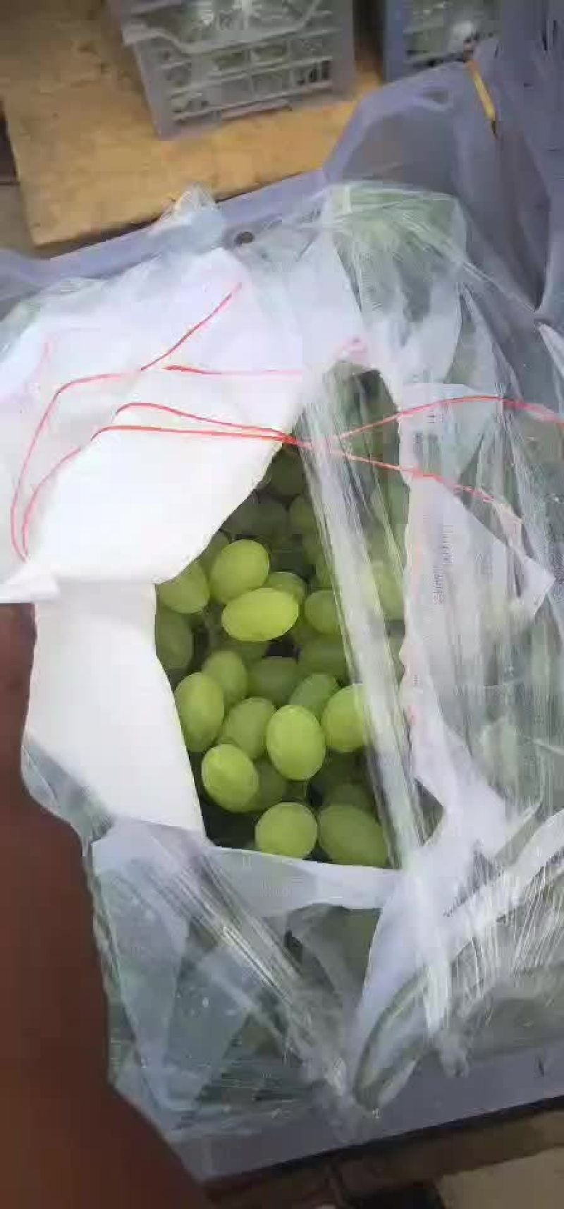 青提